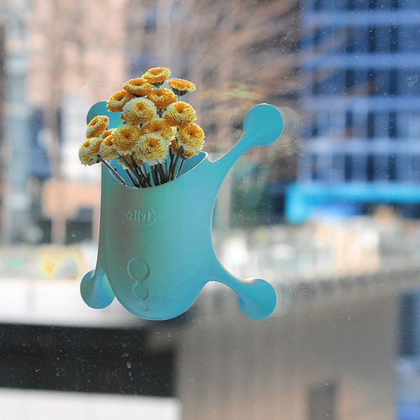 ปลูกต้นไม้ติดกระจก