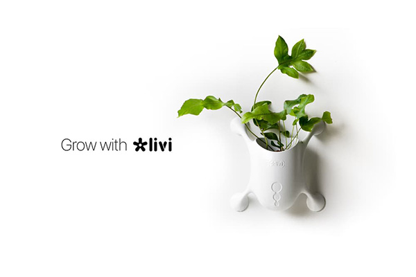 ที่ปลูกต้นไม้ติดกระจก