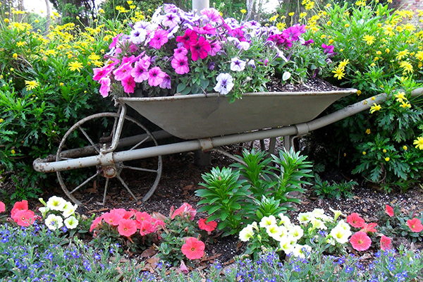แต่งสวนสวย ด้วยรถเข็น