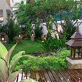                             สวนร่มรื่น บริการรับออกแบบจัดสวน จัดสวน  จัดทำสวน  ทำน้ำตก  บ่อปลา  ในราคาย่อมเยาว์  ร้านที่ออกแบบสวนที่สวยที่สุด   10 ปากว่าไม่เท่าตาเห็น  ลองใช้บริการแล้วคุณจะติดใจ  เราบริการด้วยใจจริง ๆ ครับ                                                                                                                                                                                                                                                                                                                                                            