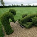 How to design your garden. เทคนิคจัดสวนโดย คนรักสวน,การจัดสวน แบบต่างๆ,พรรณไม้ที่นิยมจัดสวน,สวนหน้าบ้าน,green,eco design 

                                                                                                                                                                                            