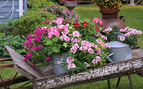 แต่งสวนสวย ด้วยรถเข็น