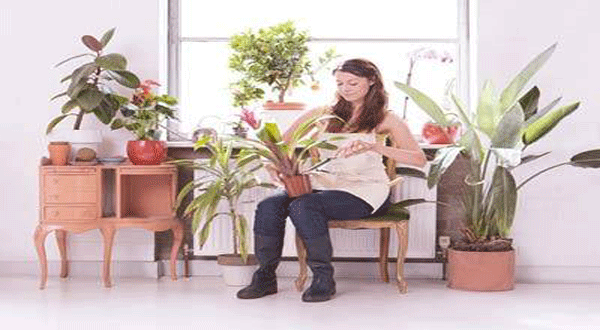 การปลูกต้นไม้ลดความเครียด