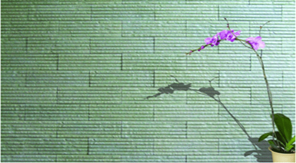 เพิ่มชีวิตให้กำแพง เพิ่มชีวาให้บ้านคุณ