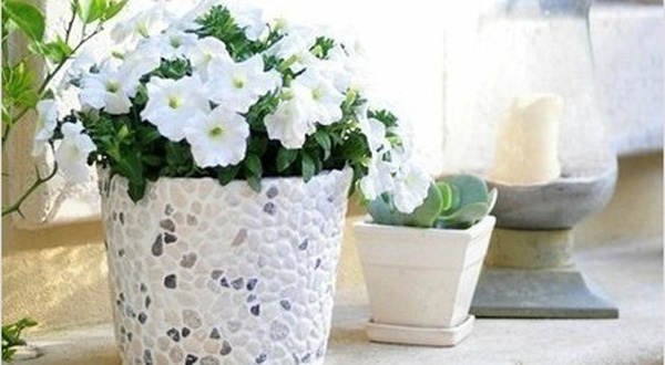 DIY กระถางหินสวยๆ ง่ายนิดเดียว