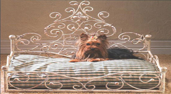 เตียงนอนน้องหมาไฮโซ