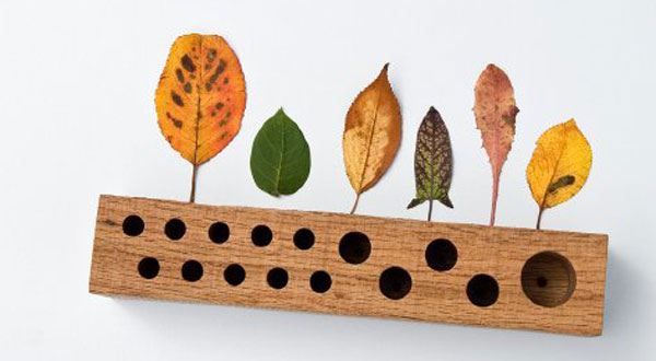 จาค็อบเก็บพื้นที่