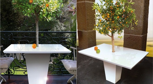 ไอเดียเฟอร์นิเจอร์โต๊ะอาหารปลูกต้นไม้ได้