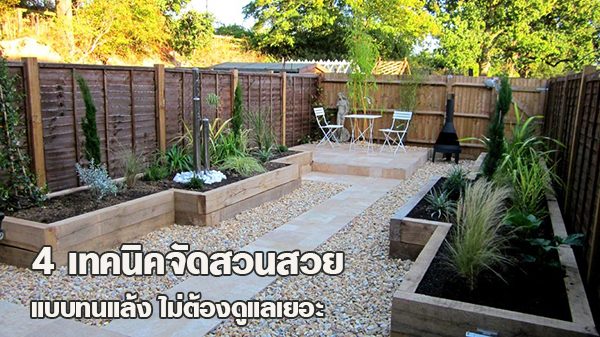 4 เทคนิคจัดสวนสวย แบบทนแล้ง ไม่ต้องดูแลเยอะ