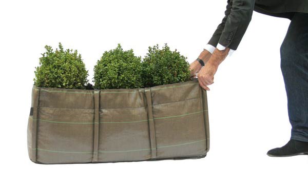 ปลูกต้นไม้ในกระเป๋ากันดีกว่า...