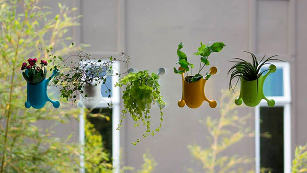 ที่ปลูกต้นไม้ติดกระจก