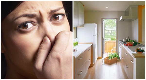 แก้ไขกลิ่นไม่ในพึ่งประสงค์ในบ้าน