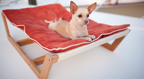 เฟอร์นิเจอร์ สำหรับสัตว์เลี้ยง