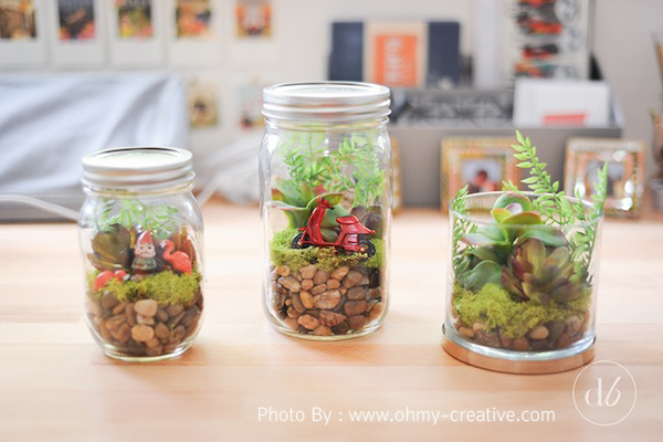 จัดสวนในขวด แสนสวย