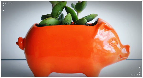 จัดสวนในกระถาง