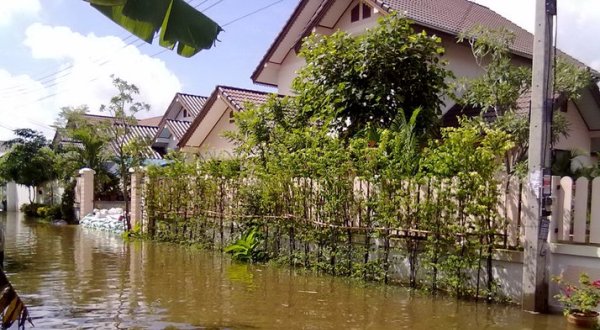 การซ่อมแซมบ้านหลังน้ำท่วม (ตอนที่ 2)