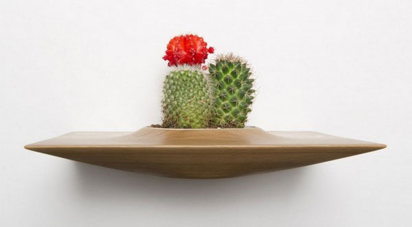 คอนโดกับการปลูกพืชผัก