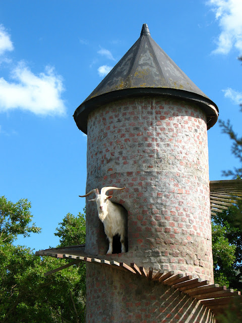 บ้านแพะ Tower Goat บ้านแพะ Tower Goat