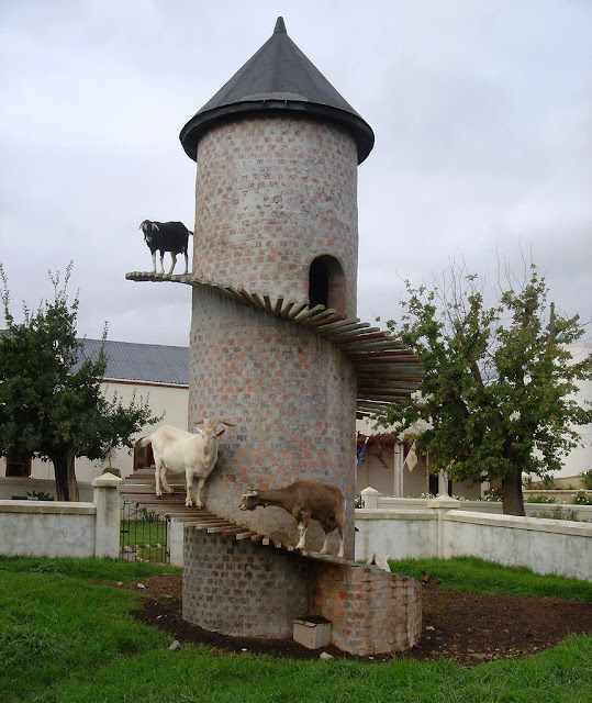 บ้านแพะ Tower Goat บ้านแพะ Tower Goat