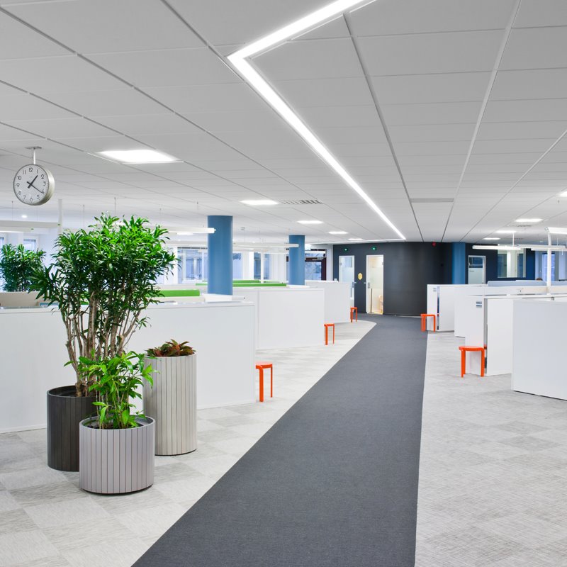 ฝ้าเพดาน พรม กระเบื้องปูพื้น ฝ้าเพดาน พรม กระเบื้องปูพื้น