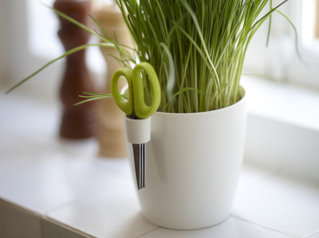 แจกัน สมุนไพร แจกัน สมุนไพร