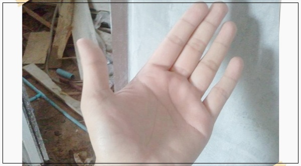 สีฝุ่น สีฝุ่น