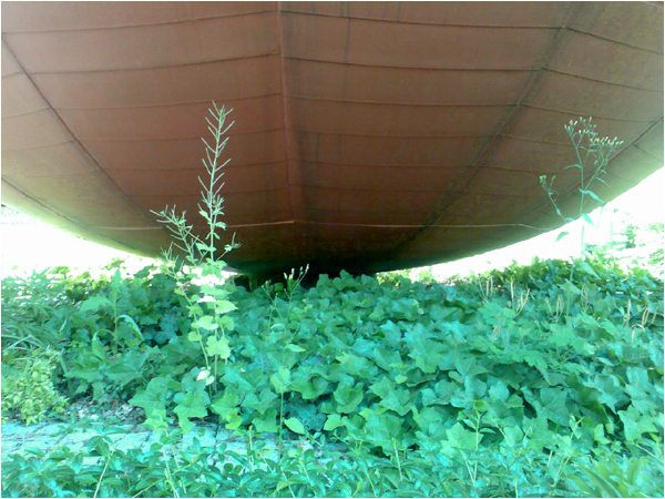 ฐานบ้าน ฐานบ้าน