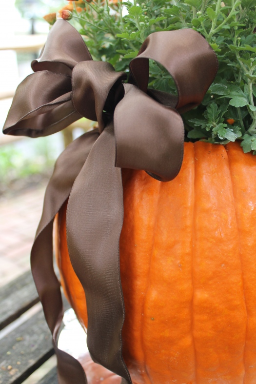 กระถางต้นไม้จากธรรมชาติ กระถางต้นไม้จากธรรมชาติ