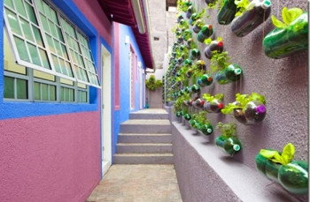 ทำสวนด้วยขวดน้ำอัด ทำสวนด้วยขวดน้ำอัด