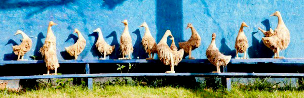 จักรวาลบ้านดิน จักรวาลบ้านดิน