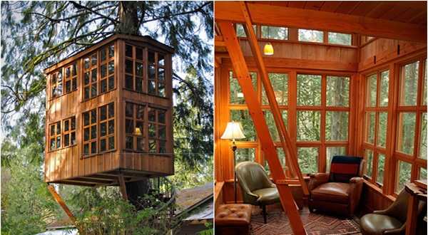 บ้านต้นไม้ บ้านต้นไม้