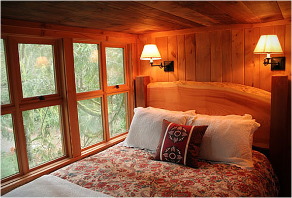 ออกแบบบ้าน แบบบ้านต้นไม้