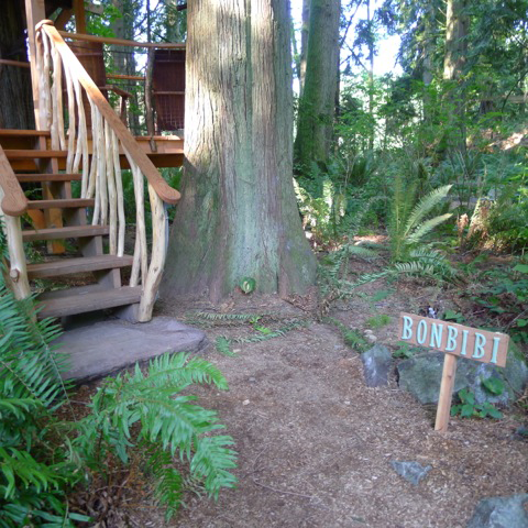 บ้านไม้ บ้านไม้