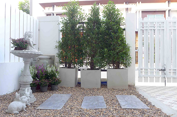 จัดสวนหน้าบ้าน จัดสวนหน้าบ้าน