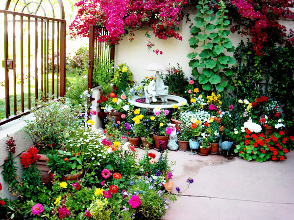 สวนขนาดเล็ก สวนขนาดเล็ก