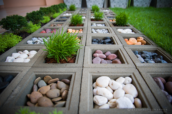 จัดสวนหน้าบ้าน จัดสวนหน้าบ้าน