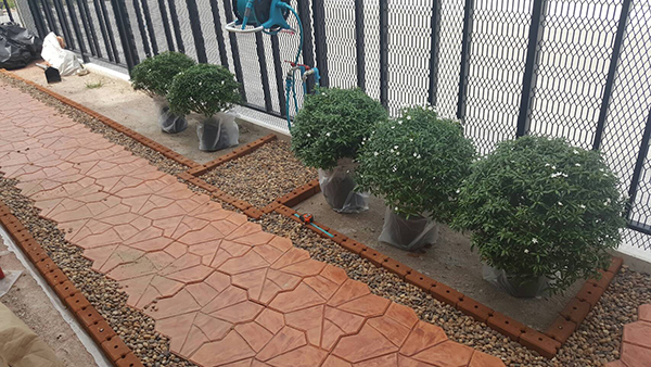 สวนข้างบ้าน สวนข้างบ้าน