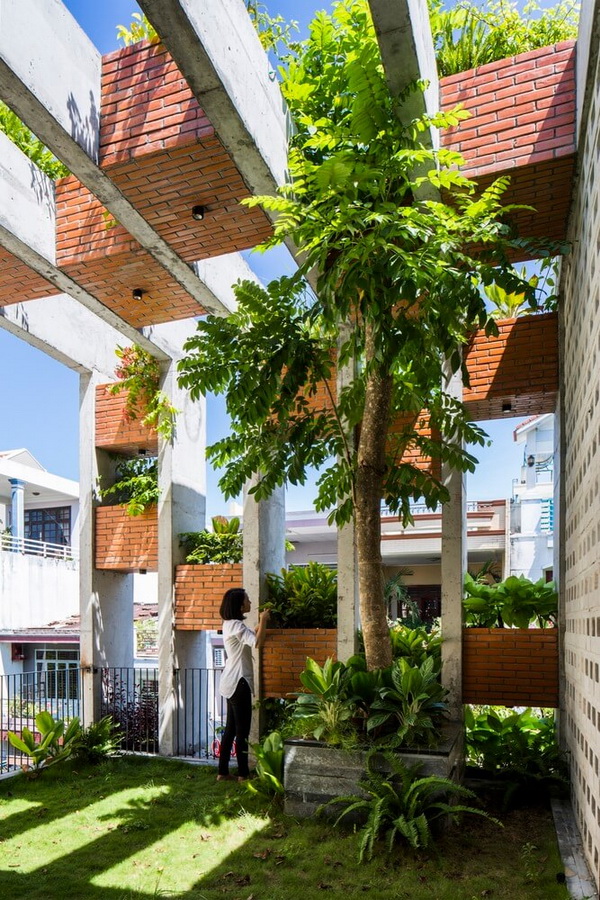 สวนดาดฟ้า สวนดาดฟ้า