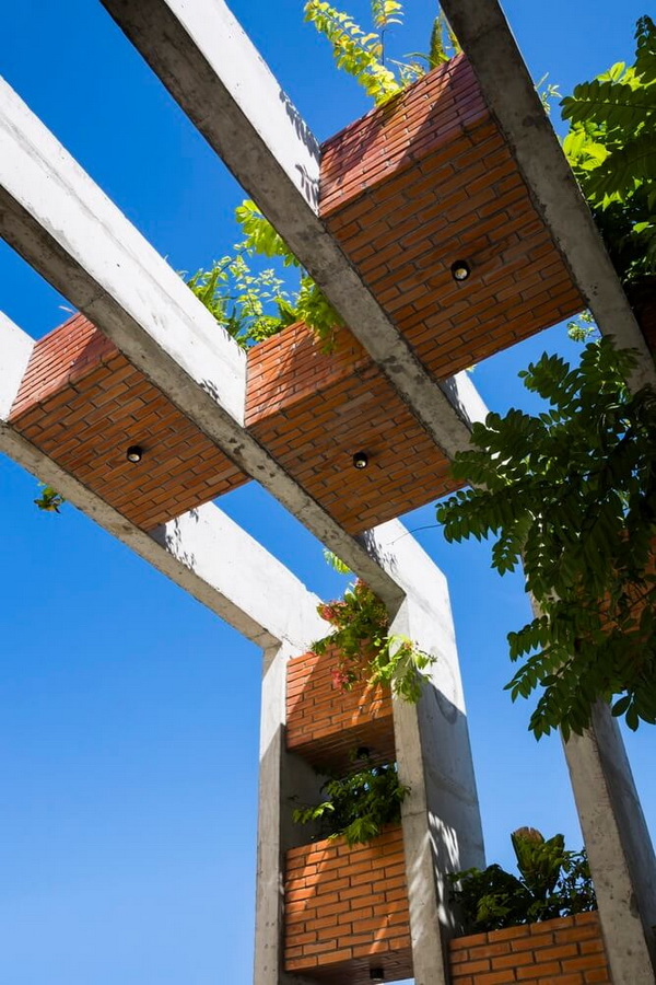 จัดสวนบนดาดฟ้า จัดสวนบนดาดฟ้า