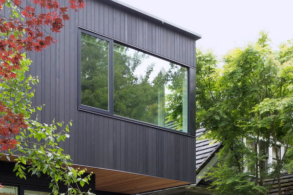 ตกแต่งภายนอกด้วยสีดำ ตกแต่งภายนอกด้วยสีดำ