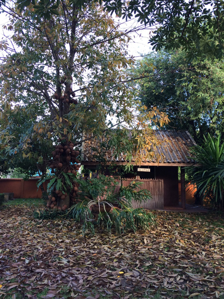 ตกแต่งห้องครัว ตกแต่งห้องครัว