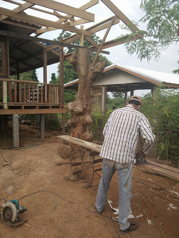 ไอเดียการตกแต่ง ไอเดียการตกแต่ง