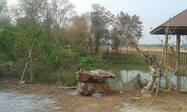 แต่งบ้านไม้ แต่งบ้านไม้