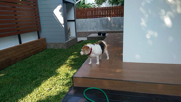 จัดสวนสวย จัดสวนสวย