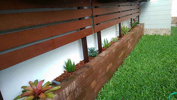 สวนข้างบ้าน สวนข้างบ้าน