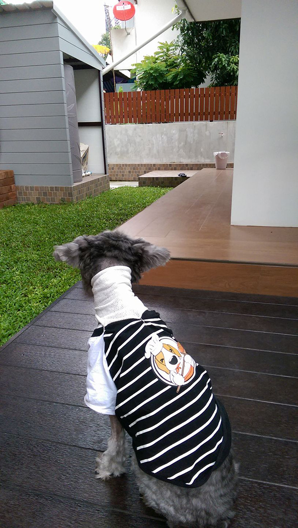 จัดสวนเอง จัดสวนเอง