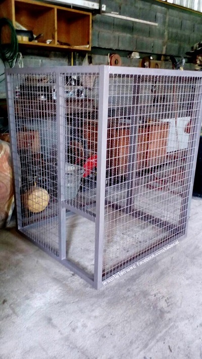 สร้างบ้านให้แมว สร้างบ้านให้แมว