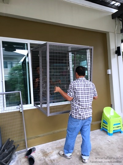 สร้างบ้านให้แมว สร้างบ้านให้แมว