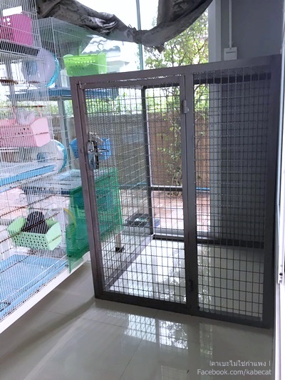 บ้านแมว บ้านแมว