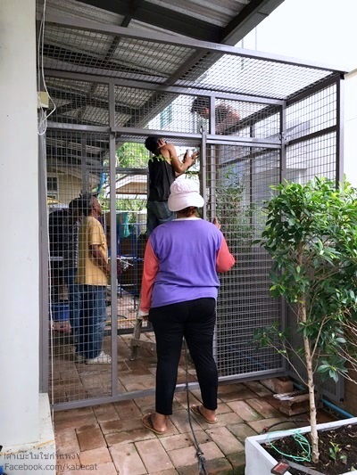 สร้างกรงแมว สร้างกรงแมว